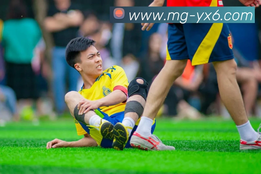 用户互动社区